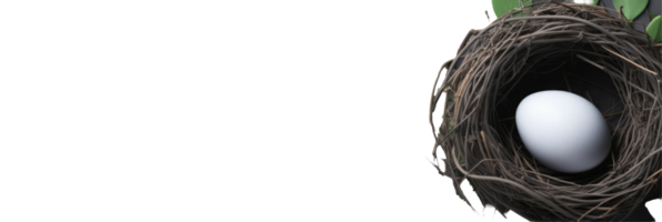 A white egg is in a nest with leaves png