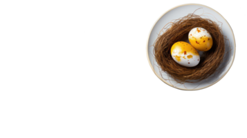 Two eggs in a nest on a plate png
