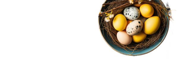 A bird's nest with eggs in it on a black background png