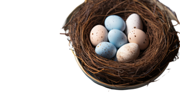 Eggs in a nest on a black background png