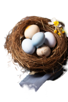 A nest with four eggs in it png
