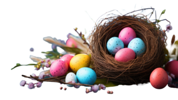 Easter eggs in a nest with flowers and leaves png