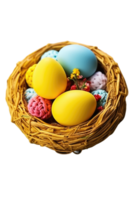 Easter eggs in a nest on a black background png