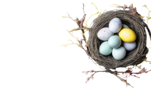 Easter eggs in a nest with branches and leaves png