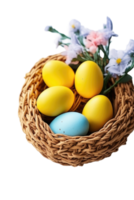 Easter eggs in a nest with flowers on a black background png