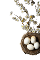 A bird nest with four eggs and a branch with flowers png