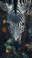 Beautiful zebra munching on green leaves during the early hours in a serene environment photo