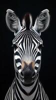 Striking close-up of a zebra with detailed stripes against a black background showcasing animal features and textures photo