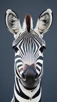 Close-up view of a zebra showcasing its distinctive black and white stripes against a neutral background photo