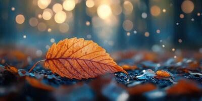 Autumn leaves resting on the forest floor with soft bokeh background during twilight photo