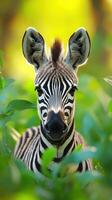 Majestic zebra encounters lush greenery in a vibrant habitat during golden hour photo