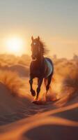 Majestic horse running through golden sand dunes at sunset in a tranquil desert landscape photo