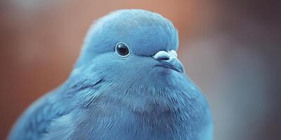 Blue bird perched calmly showcasing vibrant plumage against a soft blurred background photo