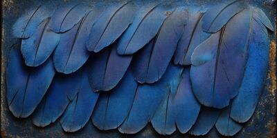 Vibrant blue feathers arranged in a textured pattern against a rustic background photo