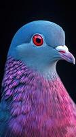 Beautifully colored pigeon with striking eyes captured in close-up during a sunny afternoon photo