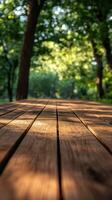 Sunlight filters through trees onto wooden deck in a serene forest setting photo