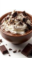 Rich chocolate mousse topped with whipped cream and shaved chocolate in a brown bowl on a light background photo
