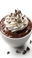 Creamy chocolate dessert topped with whipped cream and chocolate shavings served in a white bowl photo