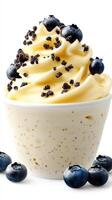 Creamy vanilla dessert topped with blueberries and chocolate crumbs in a neat cup, perfect for summer enjoyment photo
