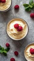 Delicious whipped cream dessert topped with fresh raspberries and mint on a gray background photo