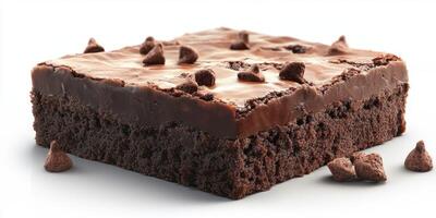 Chocolate brownie topped with melted chocolate and chocolate chips in a simple presentation photo