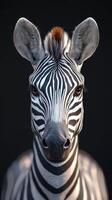 Striking close-up of a zebra showcasing unique patterns and expressive eyes set against a dark background photo