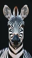 Striking close-up of a zebra showcasing its iconic black and white stripes against a dark backdrop photo