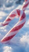 Candy canes adorn a winter wonderland with sparkling snow creating a festive and cheerful atmosphere photo