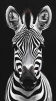 Close-up of a zebra showcasing striking black and white stripes against a dark background photo