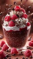 Delicious chocolate dessert topped with fresh raspberries and whipped cream served in a glass bowl photo