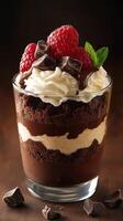 Delicious chocolate dessert layered with cream, raspberries, and topped with mint leaf against a dark background photo