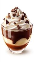 Decadent chocolate dessert topped with whipped cream and chocolate chips garnished in a clear glass bowl photo