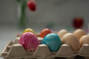 A Festively Colorful Display of Easter Eggs Nestled in a Carton Set Against an Abstract Background photo