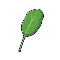 Fresh herbs concept. Cute spinach leaf. Cartoon icon illustration. Outline spinach in doodle style. Isolated on white background. vector