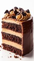 Decadent chocolate cake with creamy frosting and chocolate shavings sitting on a plain background photo