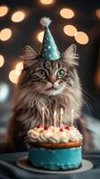 Cat celebrating birthday with cake and candles in a cozy atmosphere during evening time photo