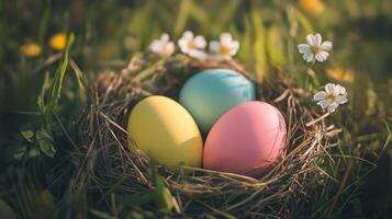 Easter colorful eggs in a wicker nest on a beautiful flowering field photo