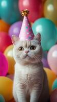 Cat celebrating birthday with colorful balloons and festive hat in cheerful indoor setting photo