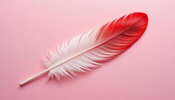 Romantic Red White Feather on Pink Soft, Elegant Design Element for Valentine's, Wedding, or photo