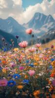 Colorful wildflowers bloom in a mountainous meadow under a clear blue sky with puffy clouds photo