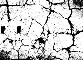 Cracked Grunge Texture in Black and White for Abstract Background vector