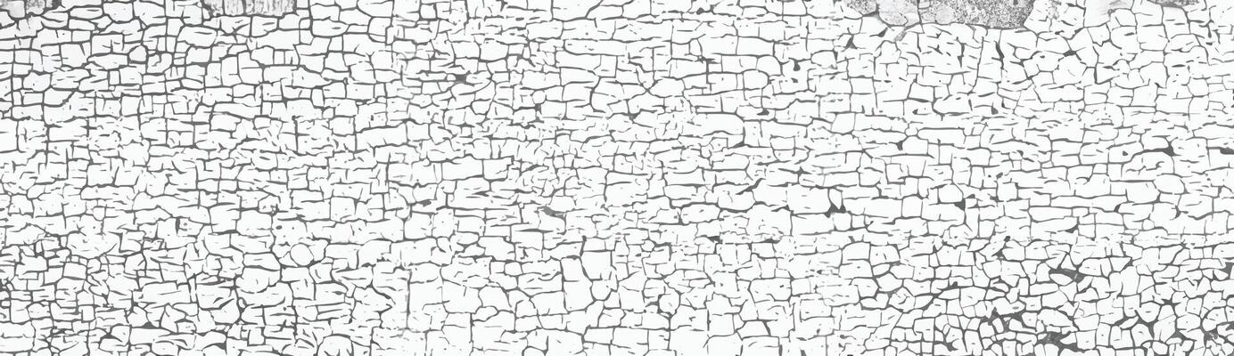 A high-contrast black and white cracked stone wall texture. Perfect for backgrounds, overlays, and vintage design elements.