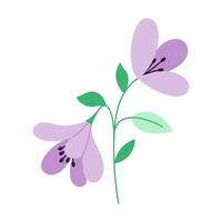 A purple flower with green leaves. The flower is in the middle of the image vector