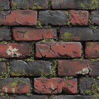 Weathered Brick Wall with Moss photo