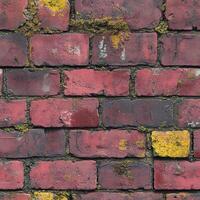 Old Brick Wall with Yellow Moss photo