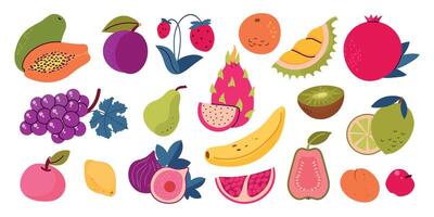 Set collection of colorful fruits and berries. Pear, guava, apricot, durian, pitaya, plum, apple, lemon, banana, pomegranate, fig, orange, kiwi, grape, lime, strawberry isolated illustrations vector