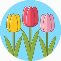 Three tulips in a row with different colors vector