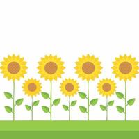 Simple sunflowers lined up in a field vector