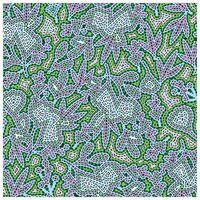 A vibrant, abstract pattern featuring intertwining leaves and floral shapes in shades of green, pink, and blue with dashed outlines. vector