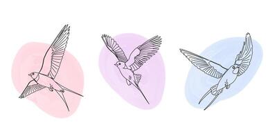 A series of graceful swallows in flight. This spring bird collection showcases a linear artistic style vector